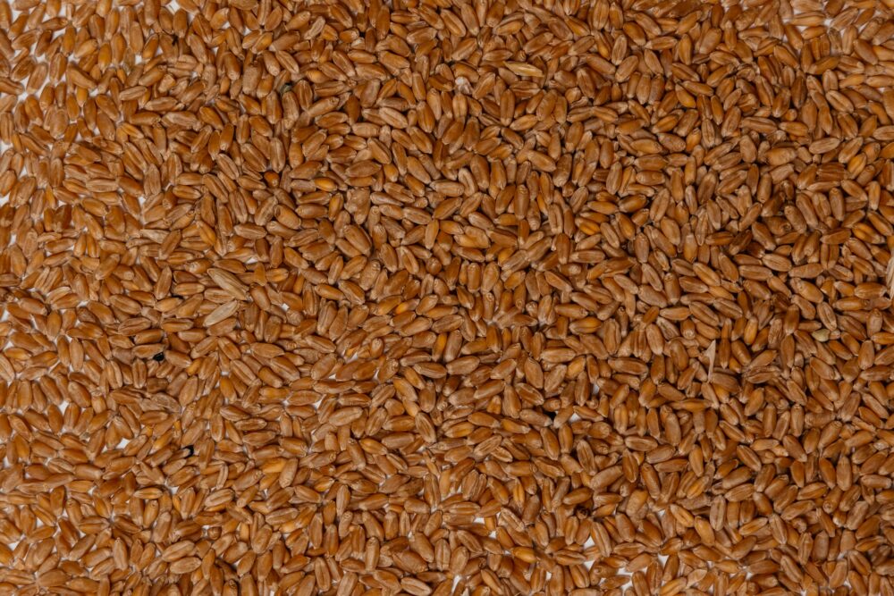 Пшеница мягкая Ликамеро