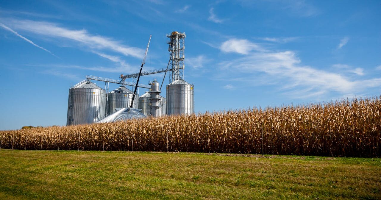 Наша команда