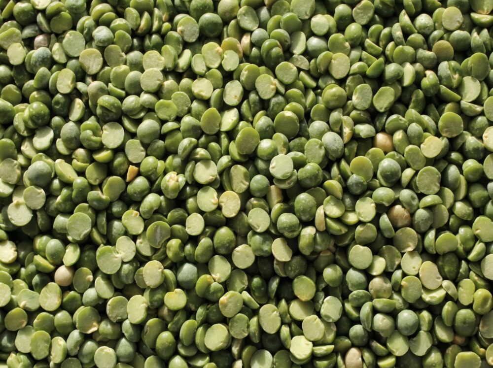 Чечевица зеленая