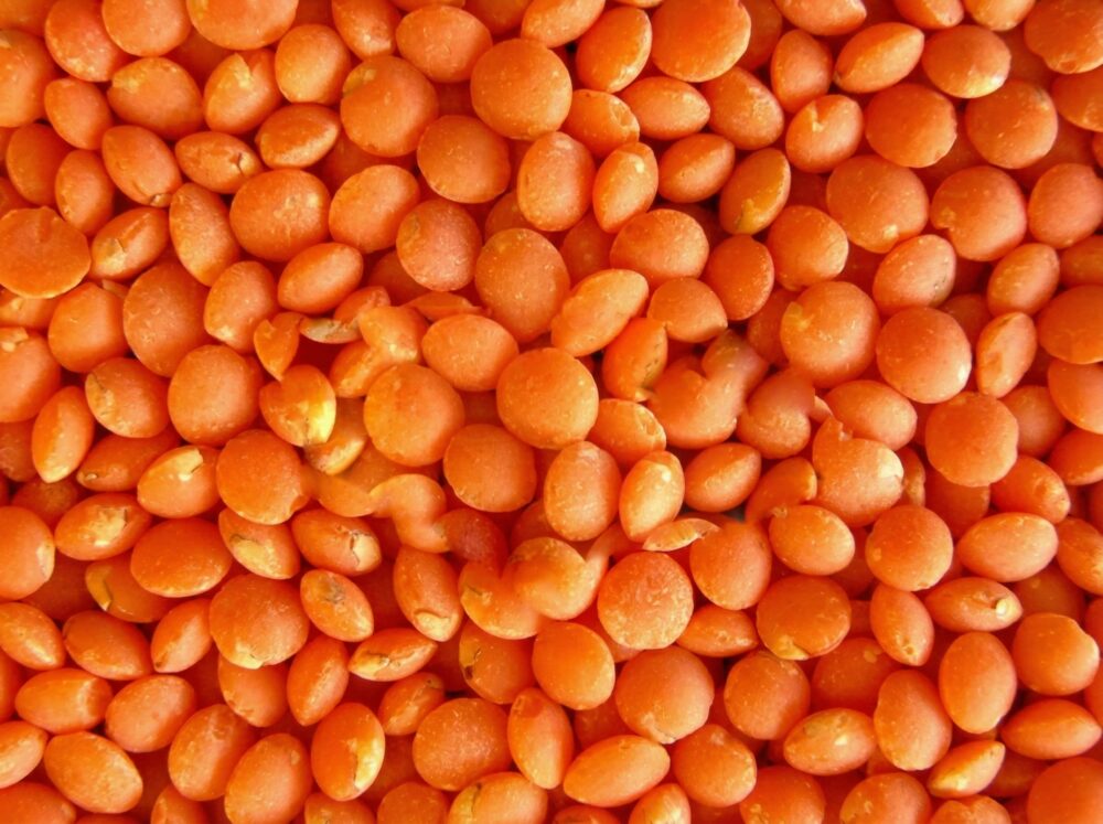 Чечевица красная